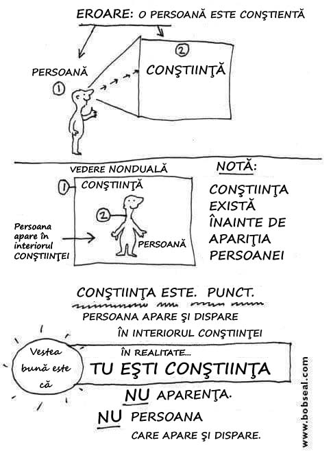 constiinta