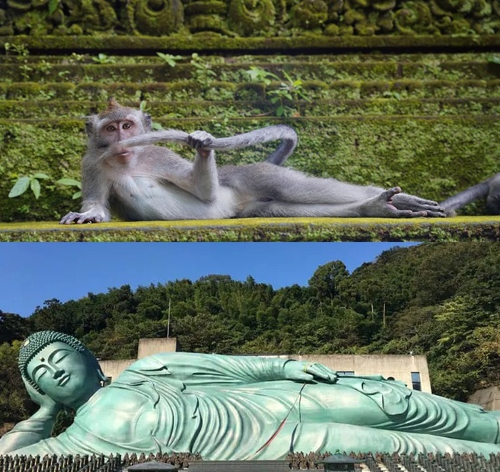 adevaratul buddha