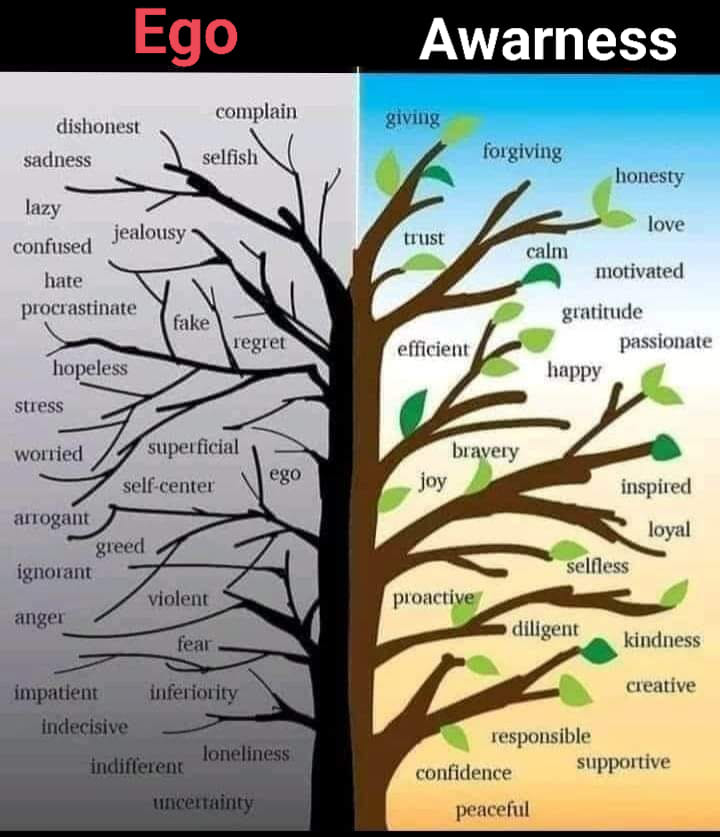 ego vs constienta