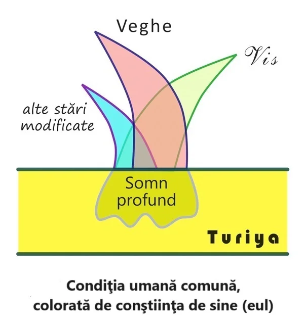 turya 1