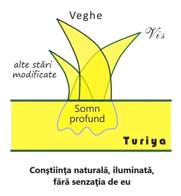 turya 2